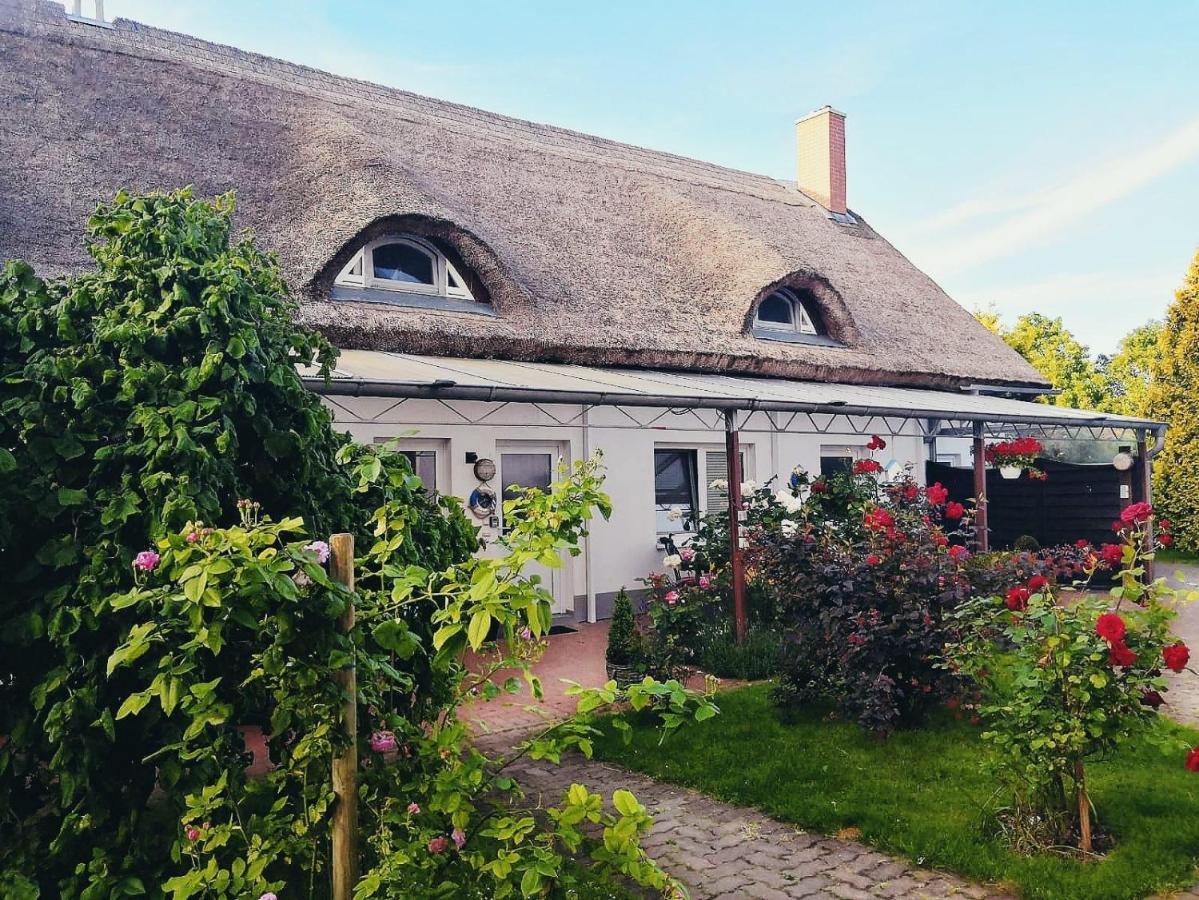 Reet Landhaus Ruegen Ummanz Экстерьер фото